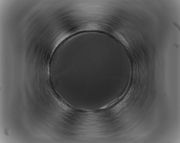 X0000097461226200803071624