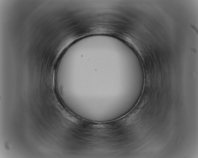 X0000097461227200803071624