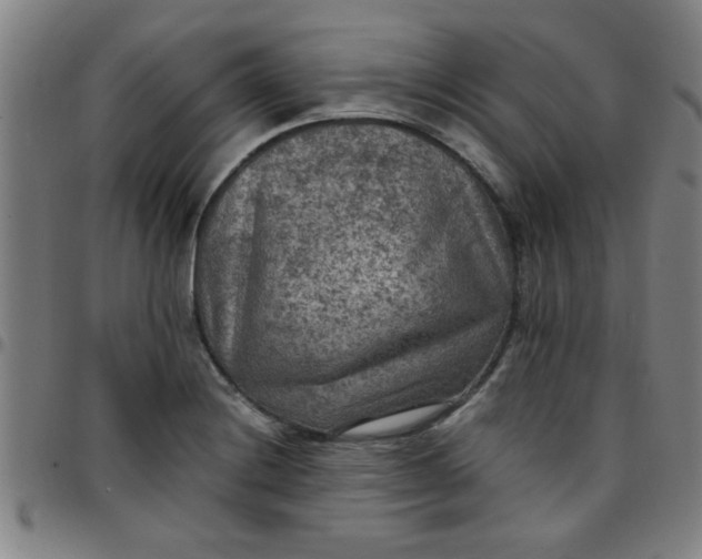 X0000097461228200803071624