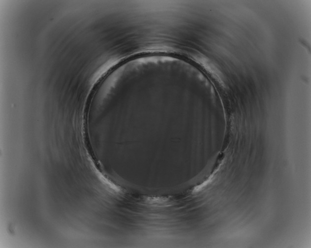 X0000097461229200803071624