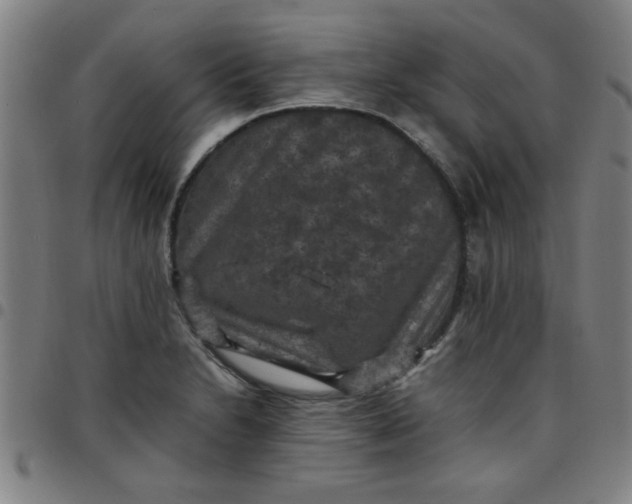 X0000097461230200803071624