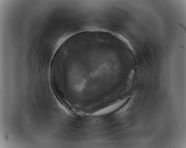 X0000097461231200803071624