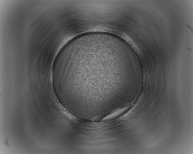 X0000097461232200803071624