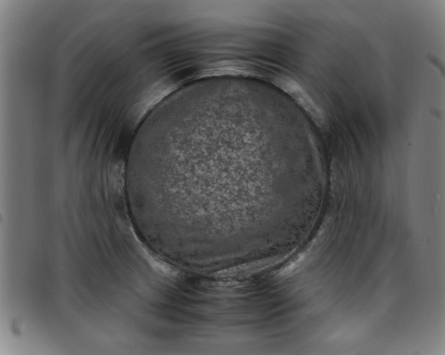 X0000097461233200803071624