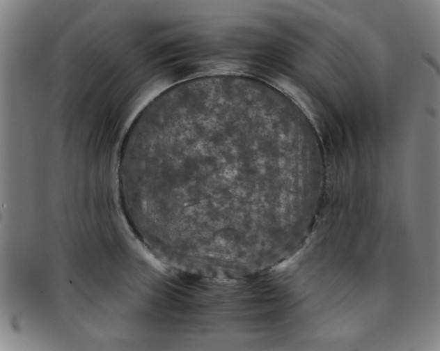 X0000097461235200803071624