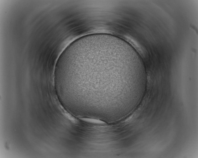 X0000097461236200803071624