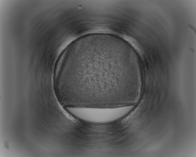 X0000097461237200803071624