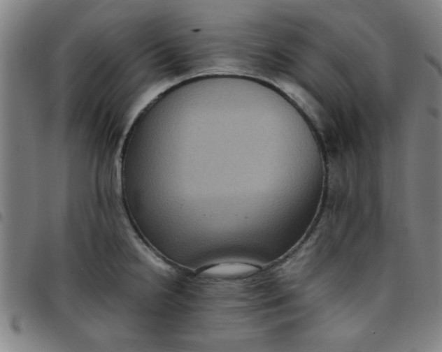 X0000097461238200803071624