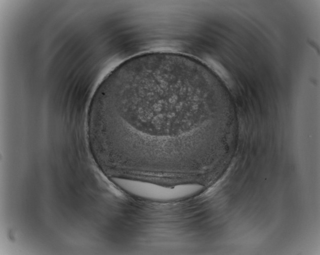 X0000097461240200803071624