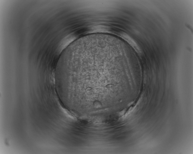 X0000097461241200803071624