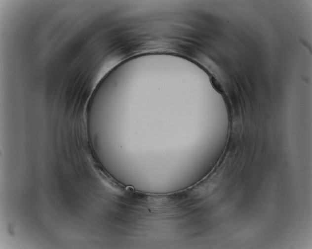 X0000097461242200803071624