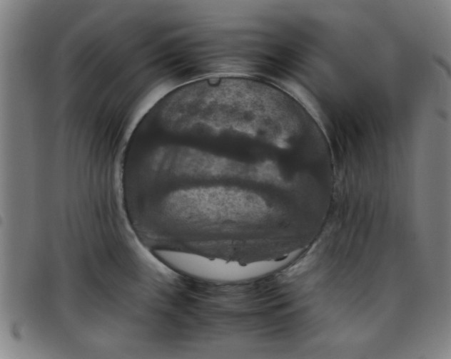 X0000097461243200803071624