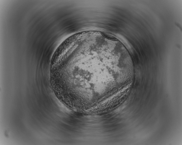 X0000097461244200803071624