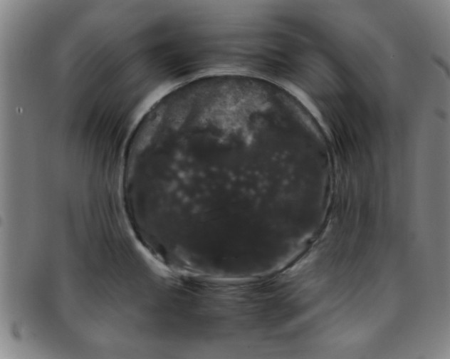 X0000097461245200803071624