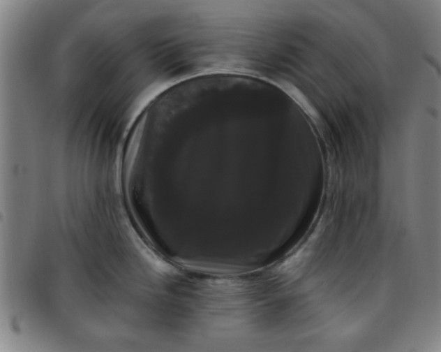 X0000097461246200803071624