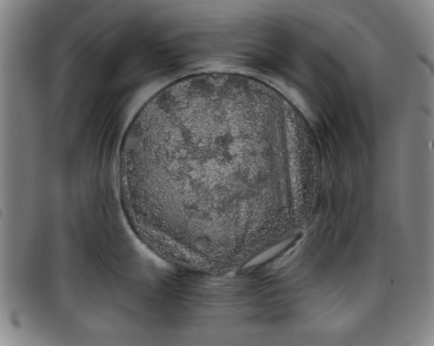 X0000097461247200803071624