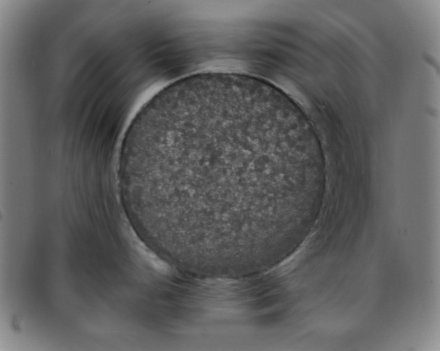 X0000097461248200803071624