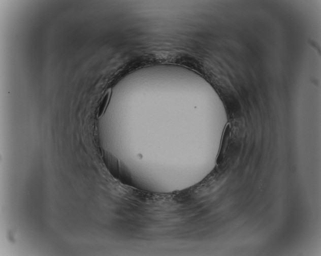 X0000097461249200803071623