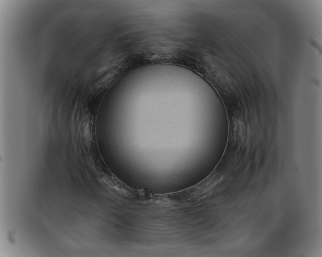 X0000097461250200803071623