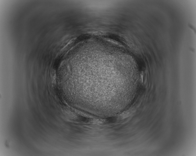 X0000097461251200803071623