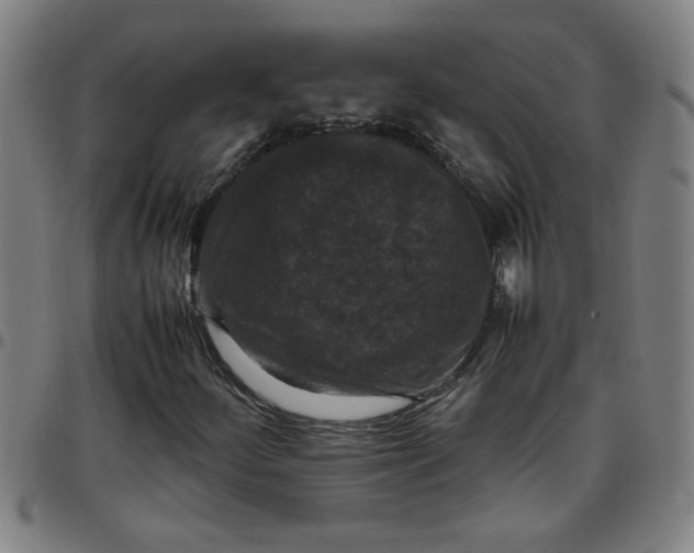 X0000097461252200803071623