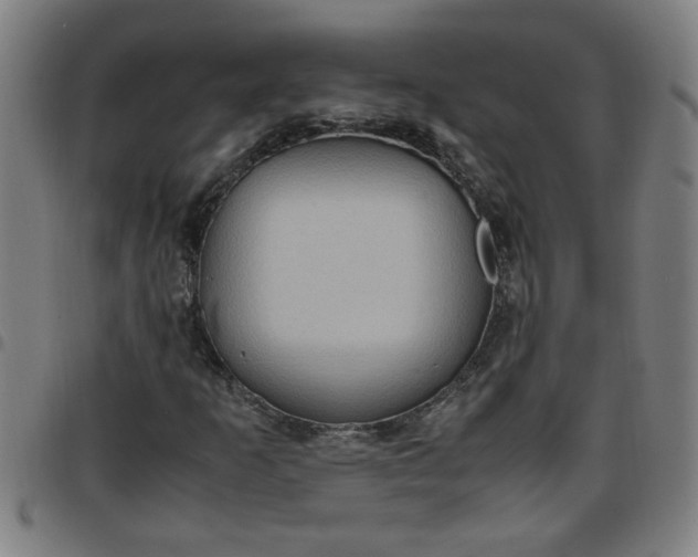 X0000097461253200803071623