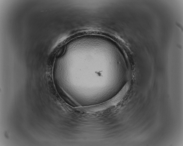 X0000097461255200803071623