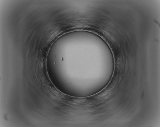 X0000097461257200803071623