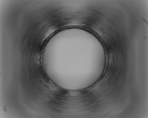 X0000097461258200803071623