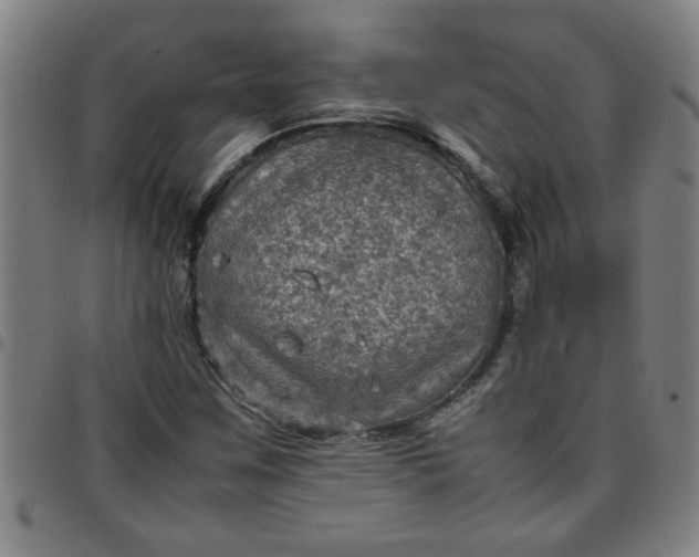 X0000097461259200803071623