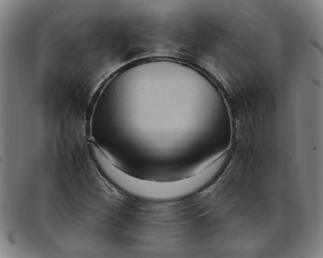 X0000097461260200803071623