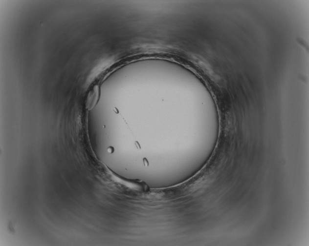 X0000097461261200803071623