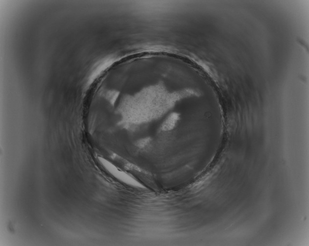 X0000097461263200803071623