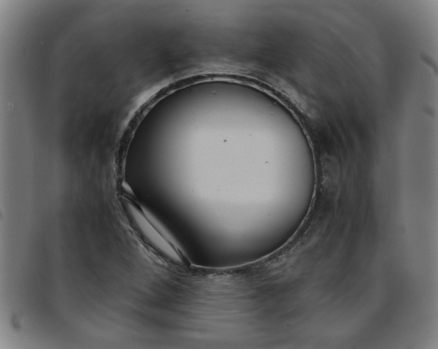 X0000097461264200803071623