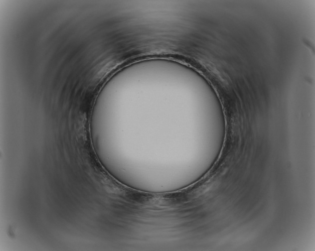 X0000097461265200803071623