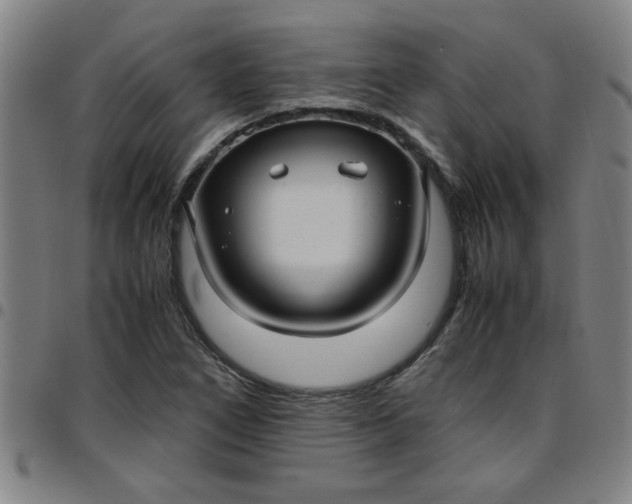 X0000097461266200803071623