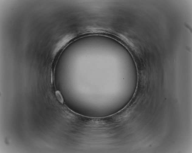 X0000097461269200803071623