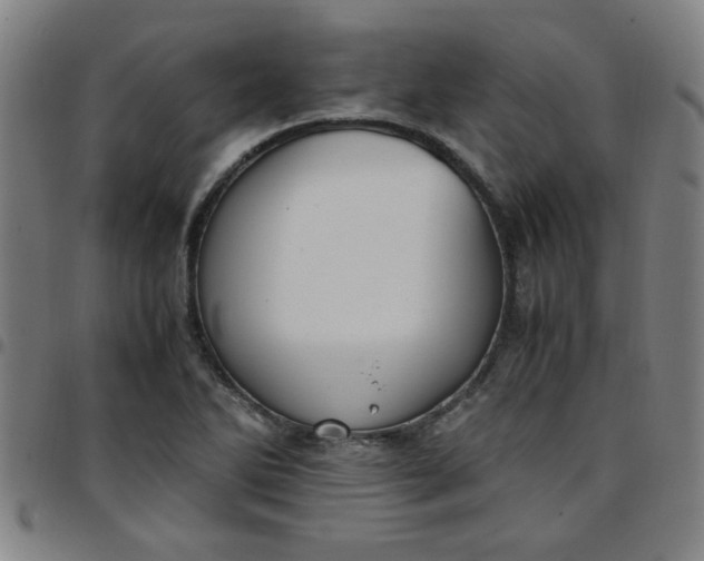 X0000097461270200803071623