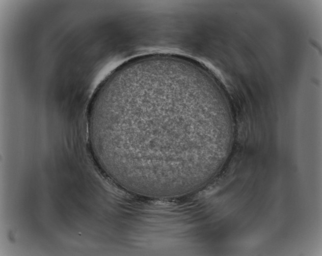 X0000097461271200803071623