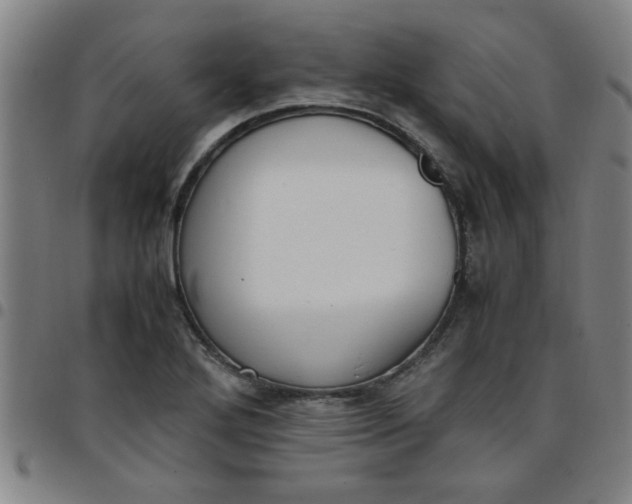 X0000097461272200803071623