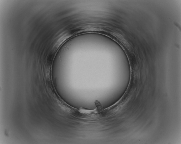 X0000097461273200803071623