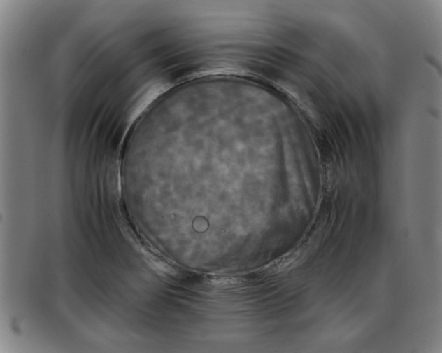 X0000097461274200803071623