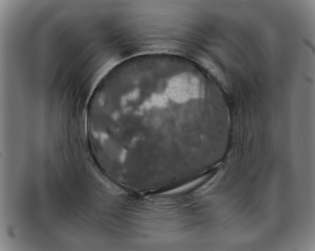 X0000097461275200803071623