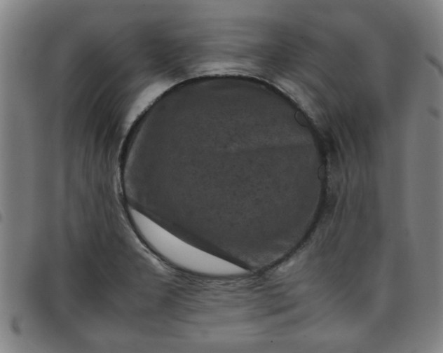 X0000097461277200803071623