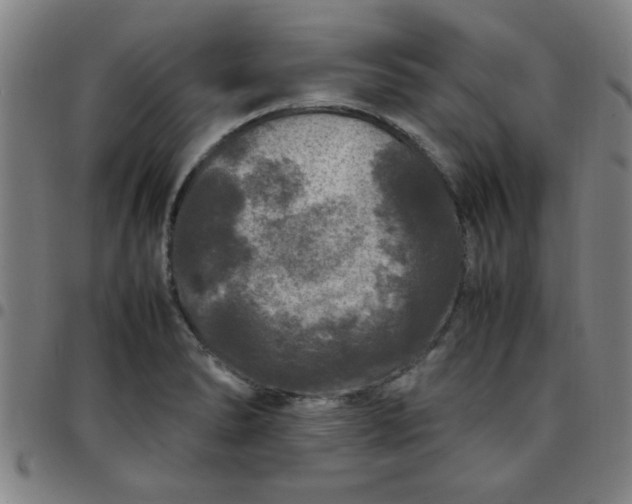 X0000097461278200803071623