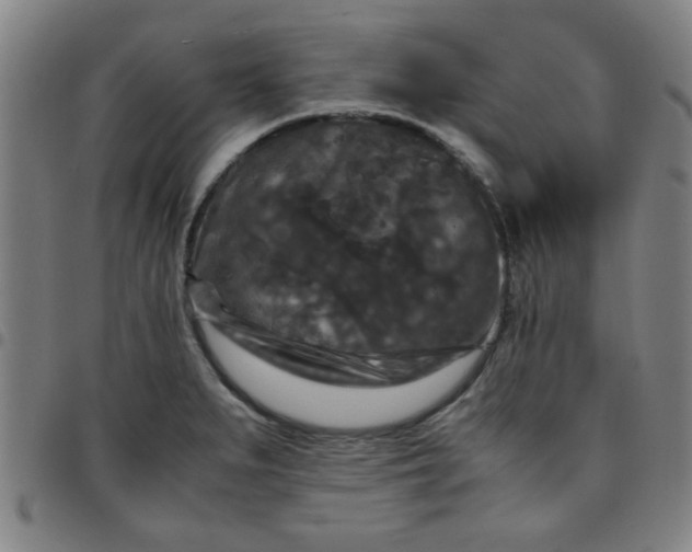 X0000097461279200803071623