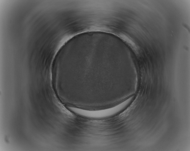 X0000097461280200803071623