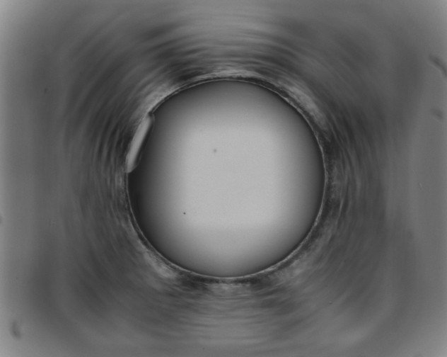 X0000097461281200803071623