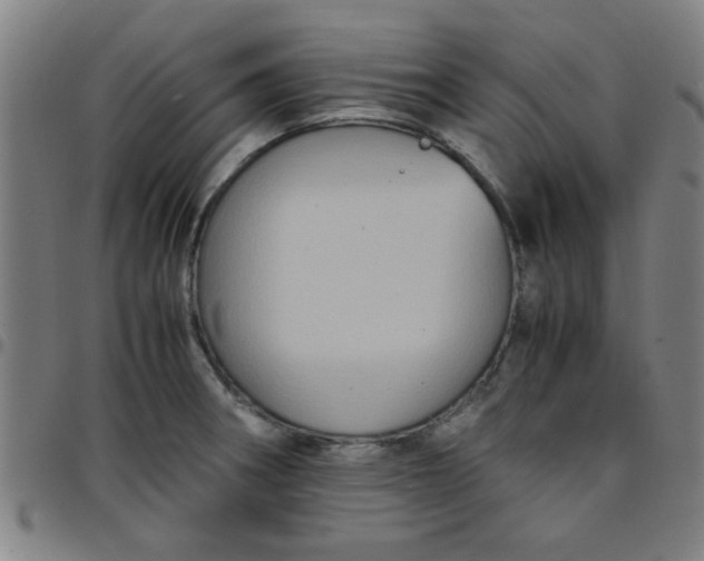 X0000097461282200803071623