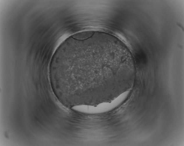 X0000097461283200803071623